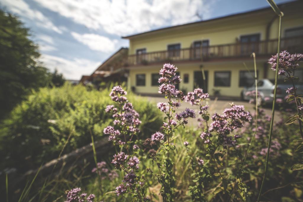 Hotel Racek Úštěk Eksteriør billede